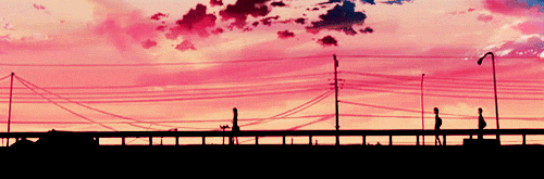 5.gif 5.gif