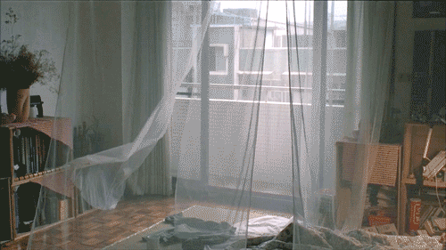 2.gif 2.gif