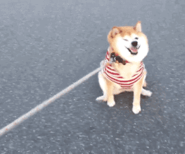 2.gif 2.gif