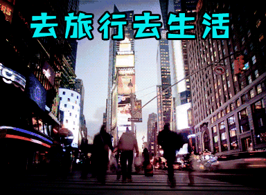 2.gif 2.gif