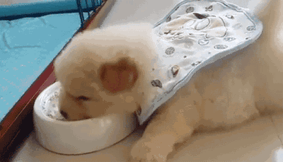 3.gif 3.gif