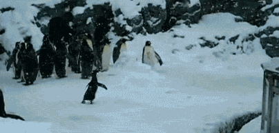 3.gif 3.gif