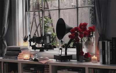 7.gif 7.gif
