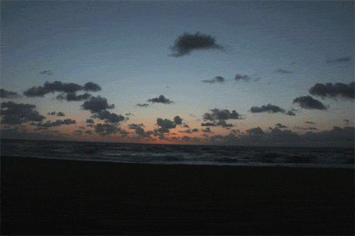 2.gif 2.gif