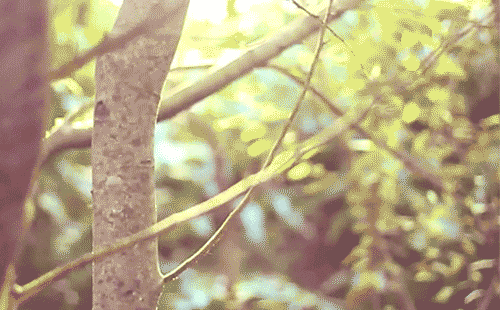 2.gif 2.gif