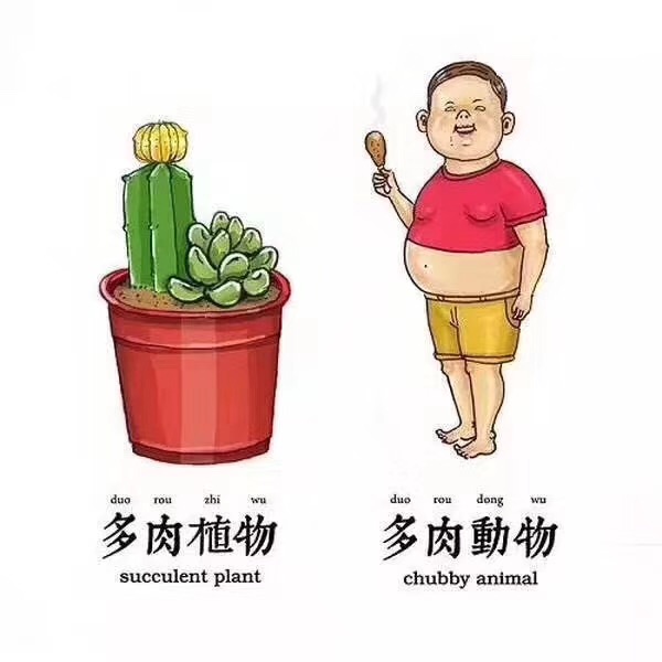 1.jpg 1.jpg
