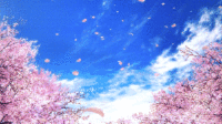 1.gif 1.gif