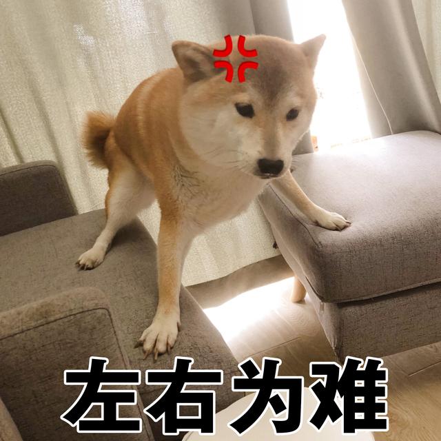1.jpeg 1.jpeg