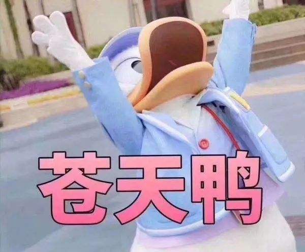 1.jpg 1.jpg