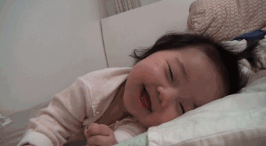 1.gif 1.gif