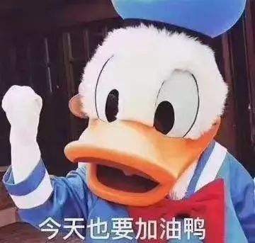 6.jpg 6.jpg