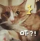 1.png 1.png