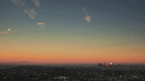 1.gif 1.gif