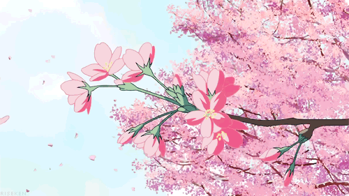 7.gif 7.gif