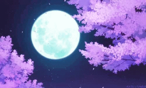 6.gif 6.gif