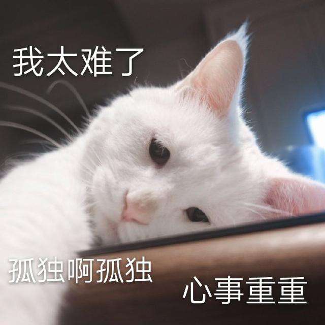 1.jpg 1.jpg